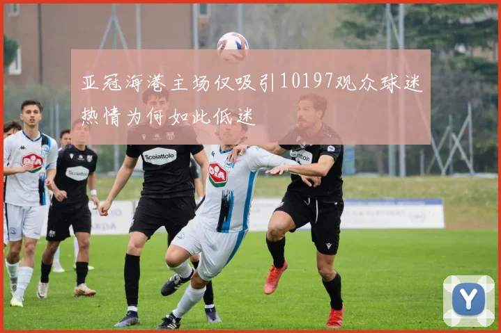 亚冠海港主场仅吸引10197观众球迷热情为何如此低迷