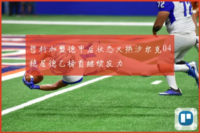 哲科加盟德甲后状态火热沙尔克04稳居德乙榜首继续发力